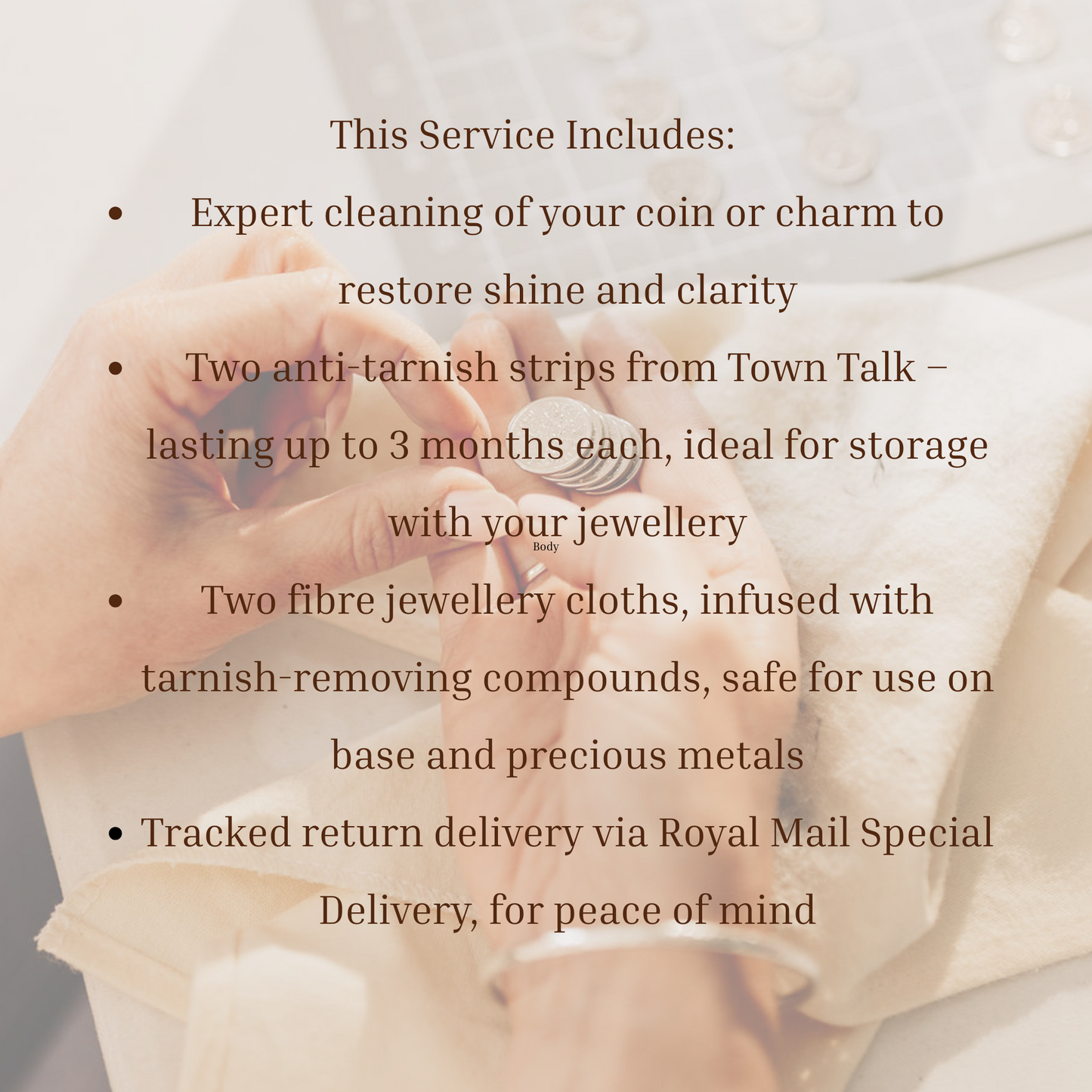 Service details for cleaning and preserving coins or charms with anti-tarnish strips and fibre jewelry cloths.