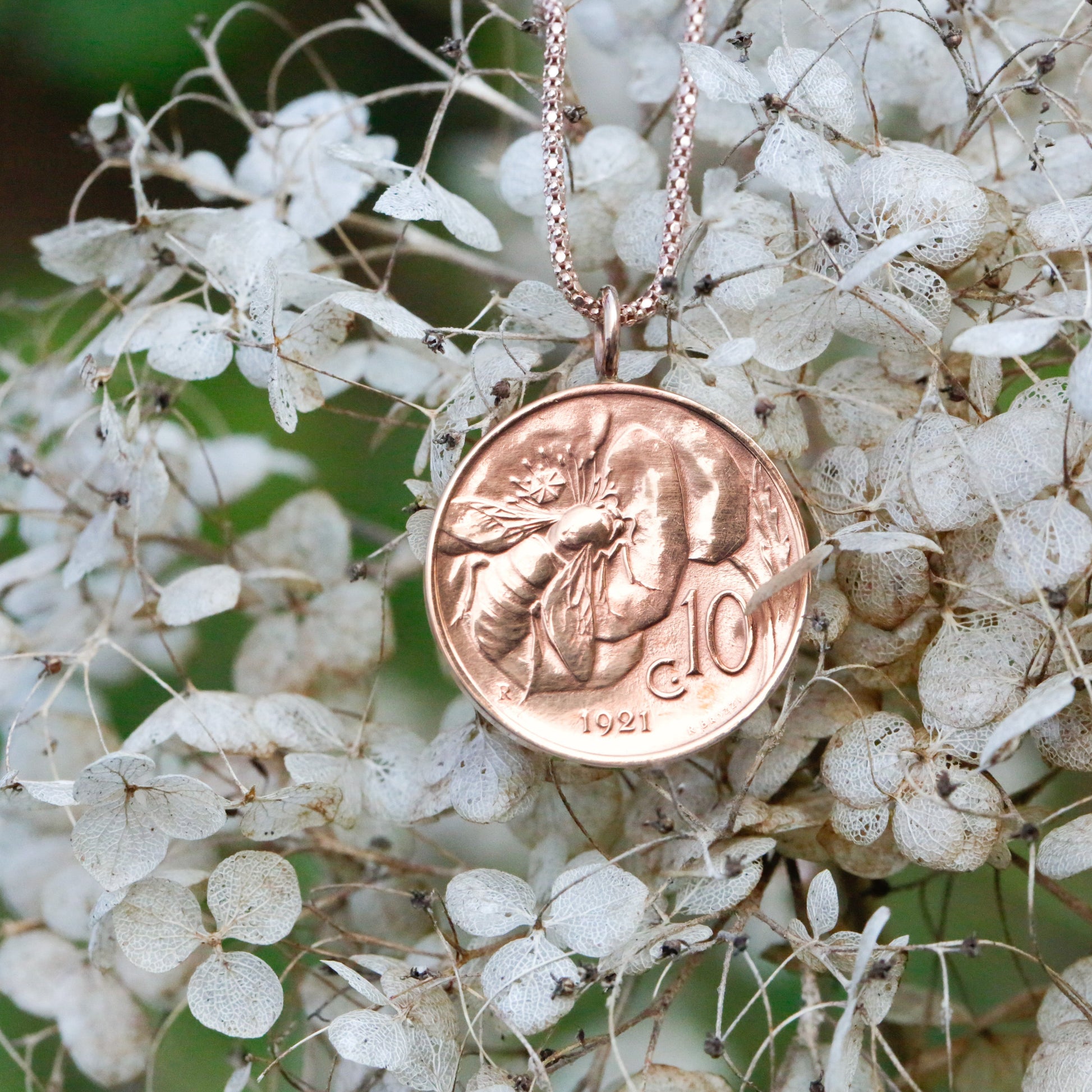 Copper Italian bee coin on a rose gold bail, with a rose gold vermeil popcorn chain. The necklace is suspended from a hydrangea flower head with the green of the beech head in the background. Taken with a Canon D5. 