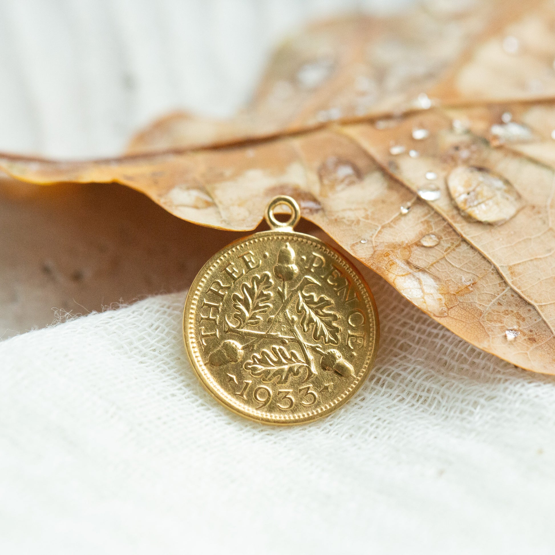 Gold coin pendant on a leaf with water droplets