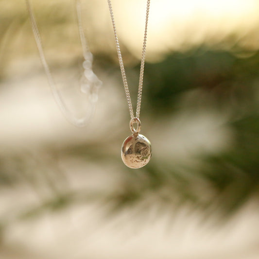A sterling silver curb chain with a small, textured silver oval pendant hanging against a soft-focus background of green foliage and warm light.