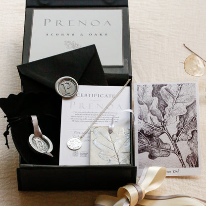 A luxury gift set from Prenoa Acorns & Oaks, featuring a silver oak leaf pendant necklace, a silver wax seal, a certificate, and a botanical print card, all presented in a black gift box with a cream ribbon on a beige linen background.