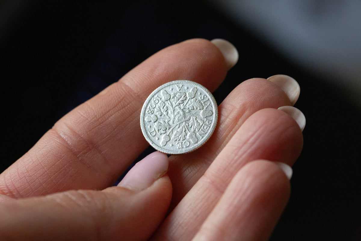 A close-up of a hand holding a small, round, silver-colored coin with an embossed floral or tree-like design.