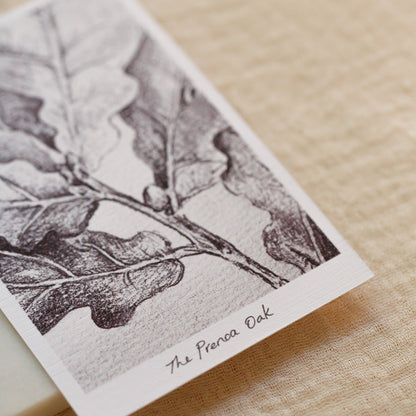 A small printed card featuring a hand drawn oak leaf illustration labeled 'The Prenoa Oak,' placed on a light beige textured surface.